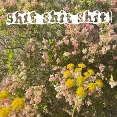 shit shit shit! - голос