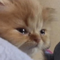 Sad is now the new normal