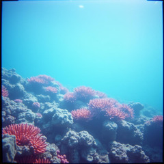 Ocean of Echoes
