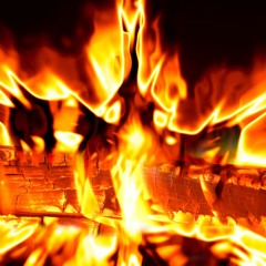 Fire: Holy and Unholy - Rabbi Sacks on Shemini, Covenant & Conversation