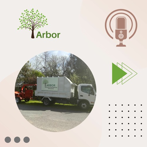 Arbor Tree And Stump Removal - Your Trusted Solution For Unwanted Growth