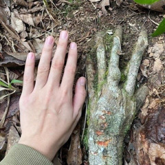 из леса #forest prod by bxxxy