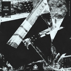 Shattering Palms - Sentinel