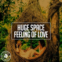 Huge Space - Feeling Of Love (Original Mix)