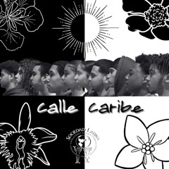 Calle Caribe