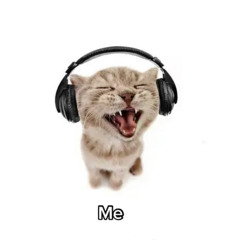 shut up (fxlkes x dynox)