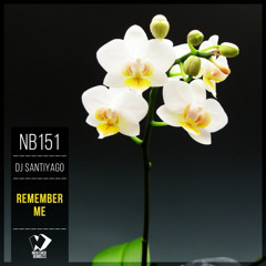 Dj Santiyago - Where You Are (Original Mix)