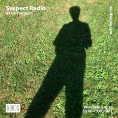 Suspect Radio 048 - January 2024 (Ambient, Downbeat)