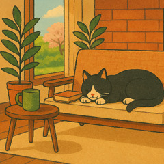 Silent Postcard