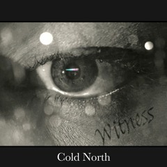 Cold North - Witness  (Prod by TAKTK) 2020