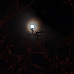 primordialDiscontent_01