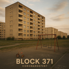 Block 371