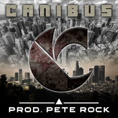 Princibly THIS (feat. Canibus)