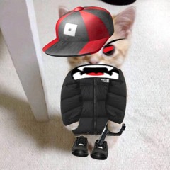 2MS JERKING MY MIXXX - (NEMZZZ 2MS JERK REMIX)