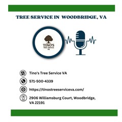 does-fema-cover-tree-removal-expenses-in-woodbridge-va