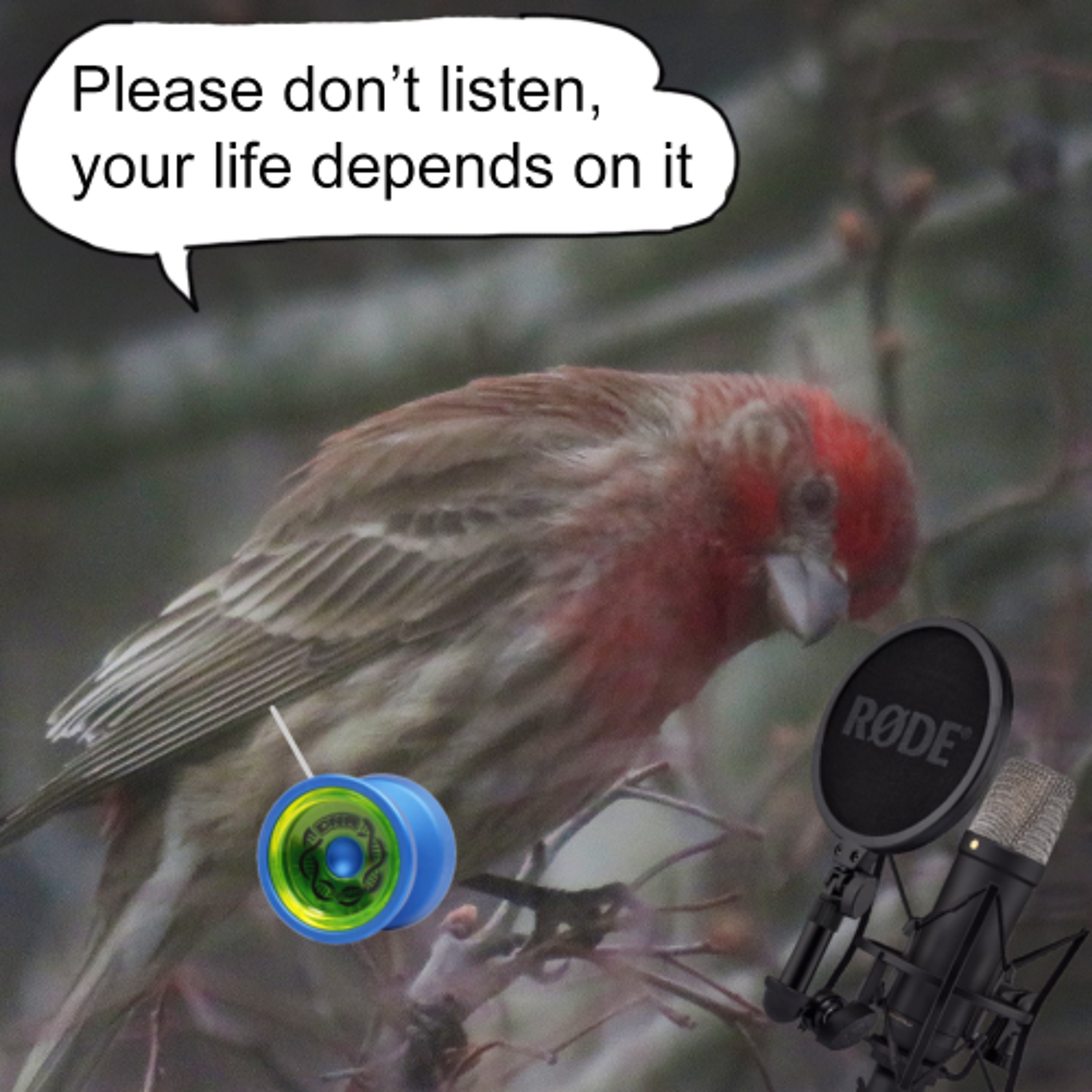 Please Don't Listen Episode 364- Rekindling Old Hobbies