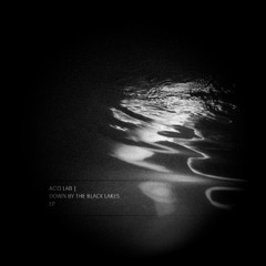 Artist Series: 17 ACID LAB part 2