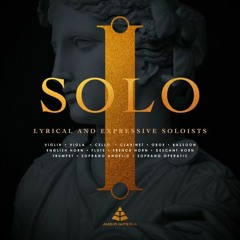 Together Now - Official demo for "Solo" (Audio Imperia )