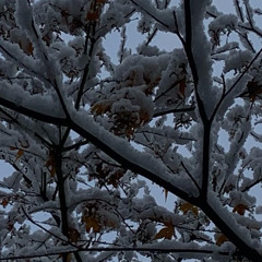 눈사람 with lovable