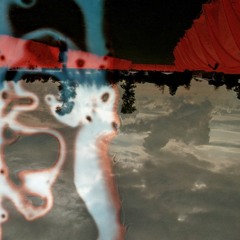 sjelden lyd fra roskilde