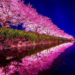 Я завжди буду поряд