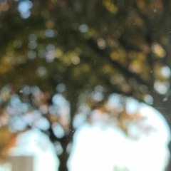 lifes_uh (illmatic flip)