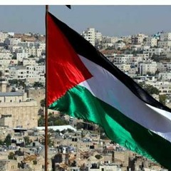 Understanding Gaza during the COVID-19 pandemic