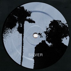 Pale Outsider x Junky Palms - Silver