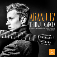 Concierto de Aranjuez: I. Allegro con spirito