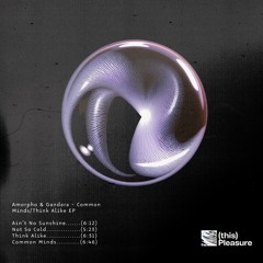 Amorpho, Gandara - Think Alike
