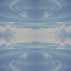 Echo Power Void #728