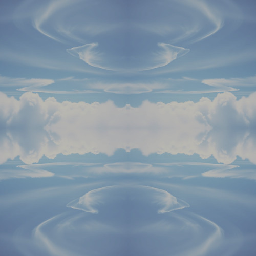 Echo Power Void #728