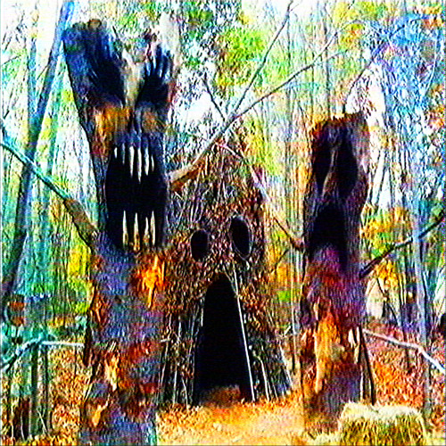 sometimes i have to remind myself that i'm here