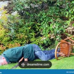 there's been an accident in the garden