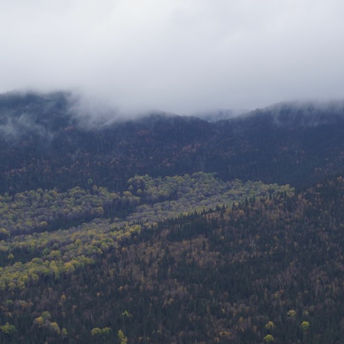 Arbee & Le Code - Pente-Douce