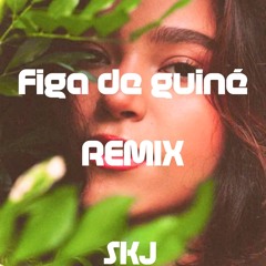 Figa de Guiné REMIX