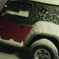 brick walls (prod alien og)