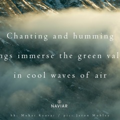 haiku #376: Chanting and humming / gongs immerse the green valley / in cool waves of air