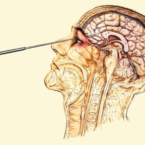 ihrtbrku (prod.Rxkxtxr)