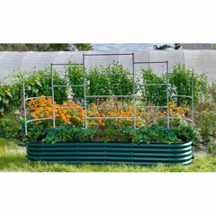 Elevate Your Garden with Galvanized Raised Bed Planters