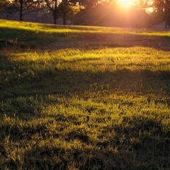 Morning Chill (short)