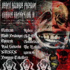 DSRTD Records Various Artists 003 [RISE]