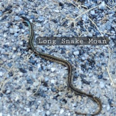 Long Snake Moan (PJ Harvey)
