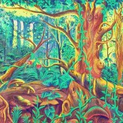 FEEDBACK - SACRED FOREST MEDICINE