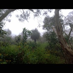 2024.01.07 To the Ancestors. Night to Morning. Tapanappa. Summer. (Short Version)