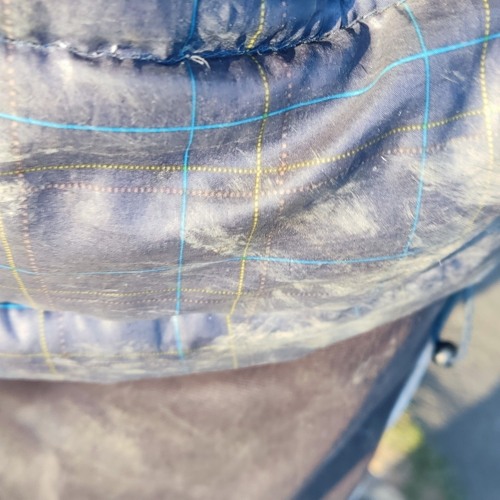 DJ Dölon Screccs Music Experiente.