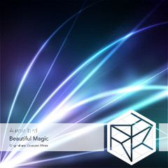 Aurora-bird - Beautiful Magic (Casepeat Remix)