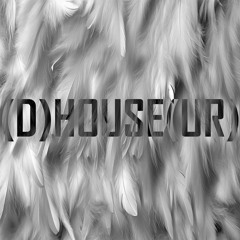 (D)HOUSE(UR)