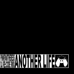 PinkPantheress - Another Life (DJ Re:Code Remix)