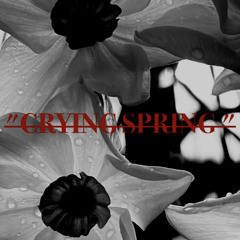 "CRYING SPRING"